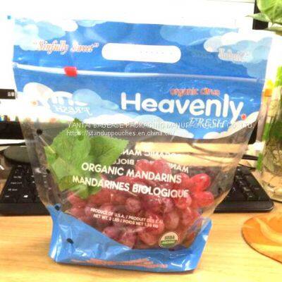 Zipper Pocket, Vegetable Pack, UV Coating Print Doypack, Food Packaging, Fruit Slider Ziplock Storage Pack photo-4