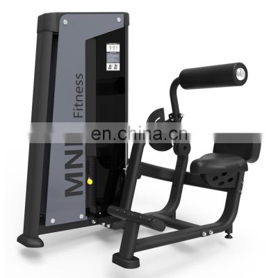 Strength Power Fitness Commercial Back Extension Gym