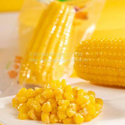 FRESH WAXY CORN photo-2