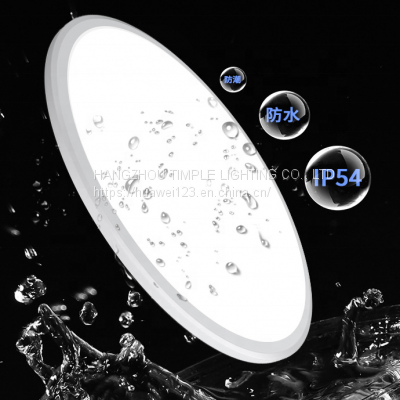 A LBL Hight Brightness Flush Mount LED Ceiling Light Wall Light 3 CCT Adjustable IP54 photo-3