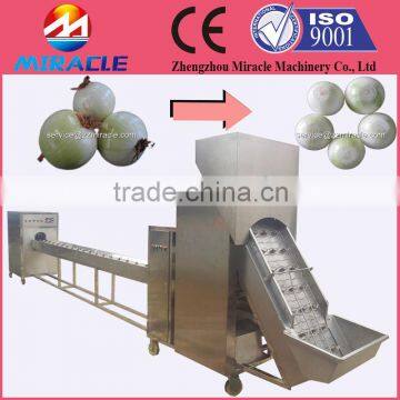 Onion top and tail cutting machine price from vegetable processing machines                        
                                                Quality Choice