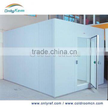 OnlyKem cold storage for frozen food,freezer room for sale