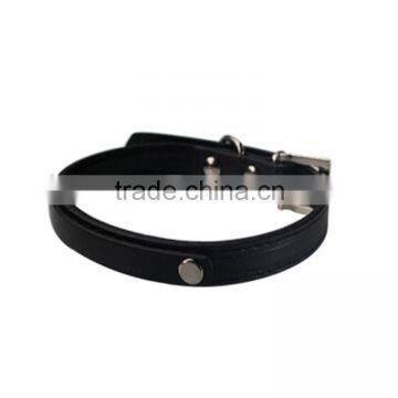Letters selling separately classic can diy letters diy dog pet collar