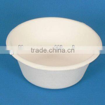 Biodegradable sugarcane bowl in food packaging