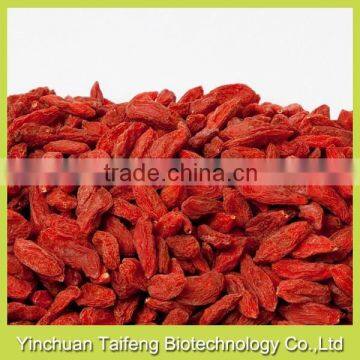 Low Pesticide Goji Fruit Can be Used as Snack photo-2