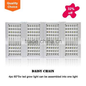 Quality c Ree Chip High Power Led Grow Light for Garden Growing photo-6