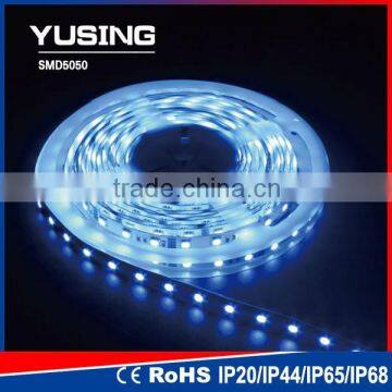 Blue 12V/24V 30 LEDs/Meter 5050 SMD Lighting LED Strip