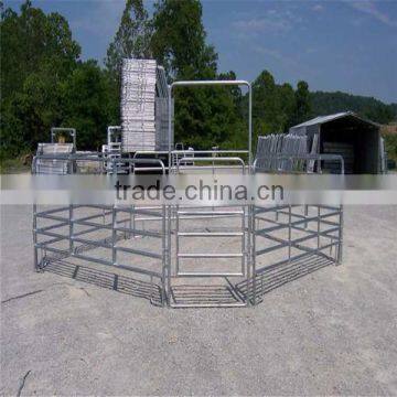 Horse Panels and Paddock
