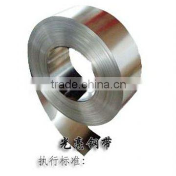 Hot dipped galvanized steel coil/strip