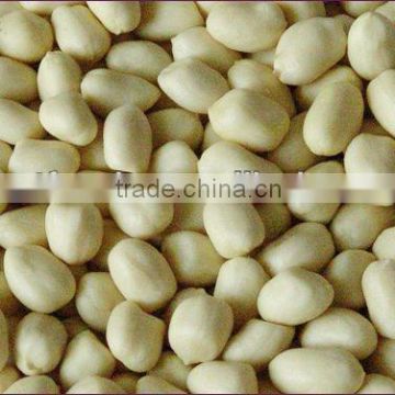 Blanched Peanut 29/33 with low price