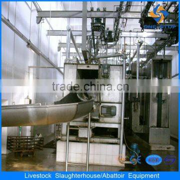 Hog Slaughterhouse Abattoir Slaughtering Equipment photo-6