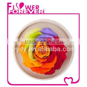 Handmade Wholesale Preserved Flower