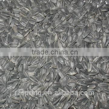 SUNFLOWER SEED ,SUNFLOWER SEED KERNLES photo-2