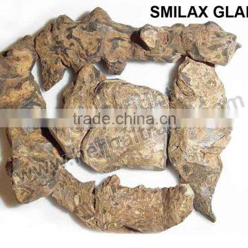 SMILAX GLABRA