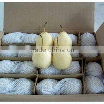 Grade A ya Pear photo-2