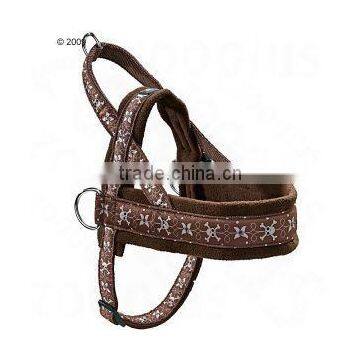 dog harness