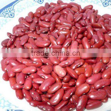 dark red kidney bean