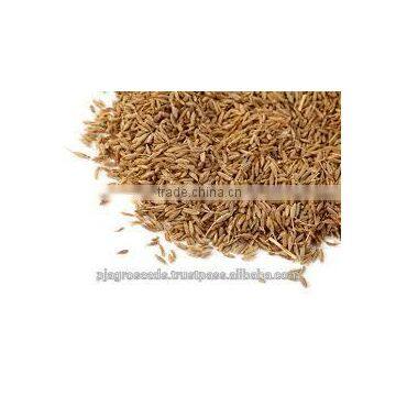 Cumin 99% Pure photo-4