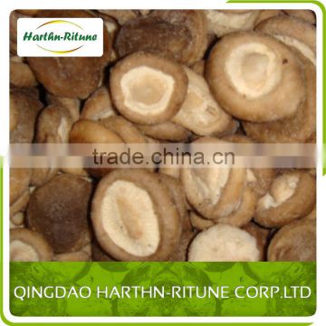 liaoning Iqf frozen shiitake mushroom plant