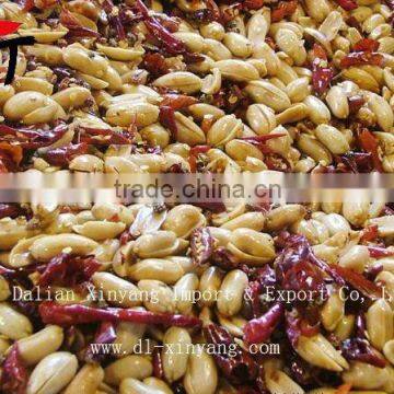 wholesale 2014 new Spicy canned coated peanut kernel