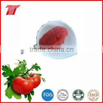 70g Sachet Tomato Paste From China Company photo-4