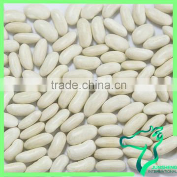 2016 White Beans Long Shape Low Price New Arrival