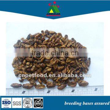 Packets Food Lizard Dried Silkworm Chow