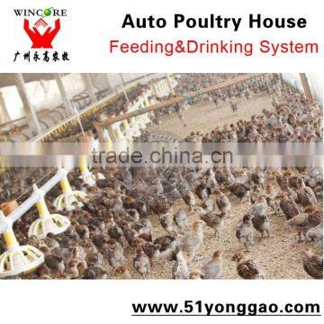 Chicken farm equipment Automatic Chicken Drinking System poultry feeding system