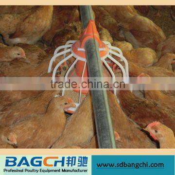 Bangchi Chicken feeding system