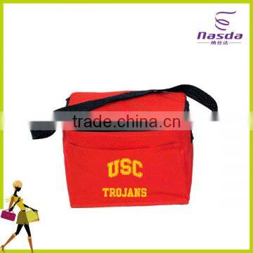 New arrival disposable cooler bag for frozen food