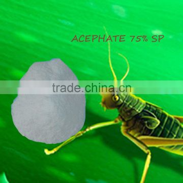 TOP QUALITY AGROCHEMICAL INSECTICIDE ACEPHATE 75% SP