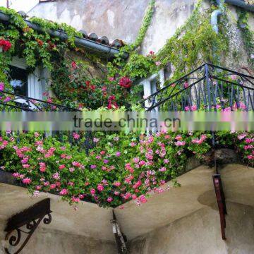 Horticultural Grade Diatomaceous Earth Potting Soil and Hydroponic Growing Medium photo-4