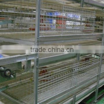 automatic poultry cages