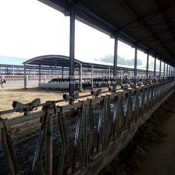 Dairy Cowhouse Hanging Cow Fan photo-3