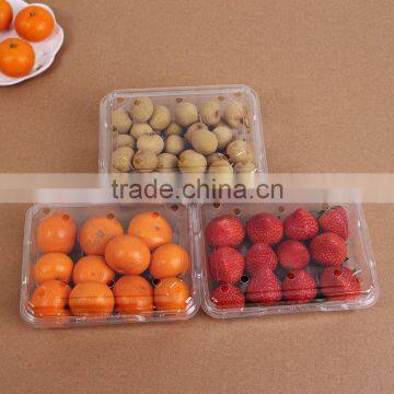 Rectangular Transparent 250g Fruit Storage Box Sealed Plastic Fresh Fruit Container With Lid photo-3