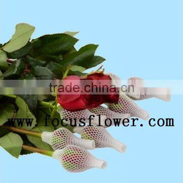 New style fresh cut white color rose flowers roses flowers black magic rose with 0.8_1.2kg/bundle from china alibaba kenya