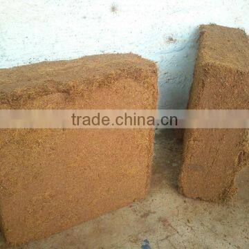 Coco Peat Extra Coarse Extra Washed