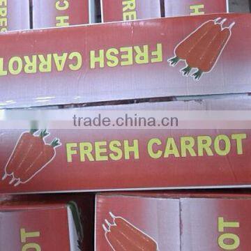 Wholesale Chinese Fresh Carrots With High Quality and Good Price photo-3
