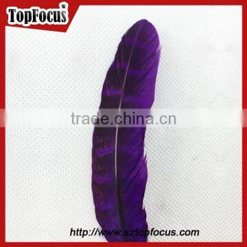 Natural Ringneck Rounds Cheap Dyed Pheasant Feathers Sale photo-5
