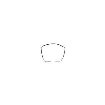 Automotive Door Sealing Delt and Windshield Moulding