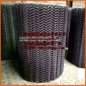 Food Chain Conveyor Belt, Shandong Manufacturers photo-2