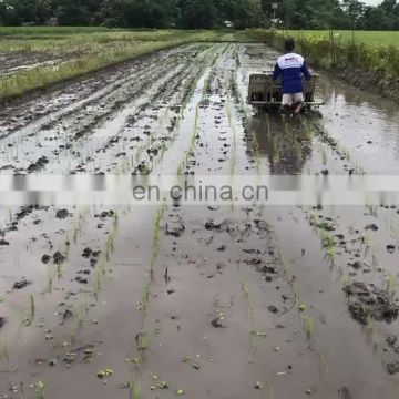 factory supplier 4 rows walking type rice transplanter for sale