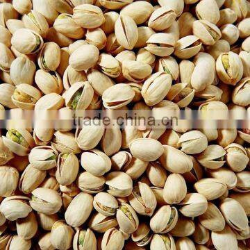 Top Quality In shell 100% Natural Jumbo Pistachio