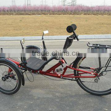 New Design Reverse Recumbent Bike