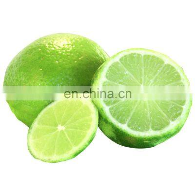 Premium  Fresh Fruit Green Sour Taste Seedless Lemon Lime For Beverages Juice Drinks From Vietnam