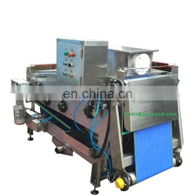 GYC industria belt type sugar cane sugarcane apple lemon orange fruit vegetable radish juice extractor with high rate 75-83%