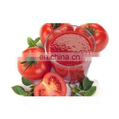 500kg tomato paste processing plant