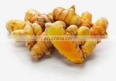 Automatic 20b 30b 180 Model High-speed Grinder Turmeric Crusher photo-4