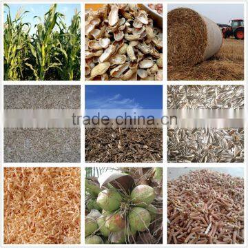 Peanut Shell and Wood Sawdust Pellet Making Machine and Wood Pellet Production Line Hot Exported to Russia photo-5