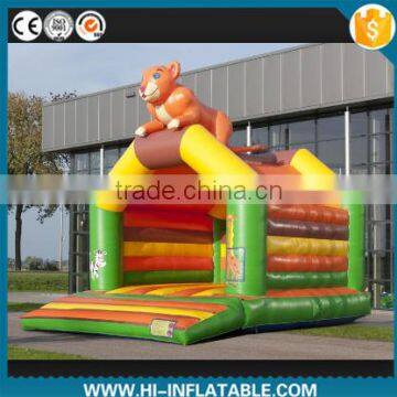 inflatable cartoon castle, inflatable jumper for toddlers